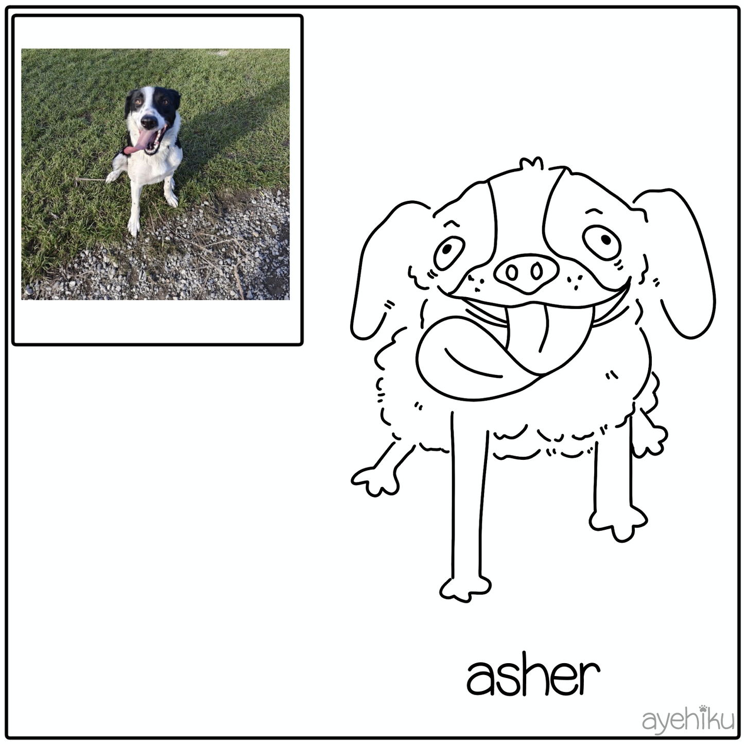 Custom Pet Portrait | Ugly Pet | Funny | Gift | Line art | Digital Image